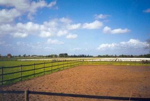 Paddock